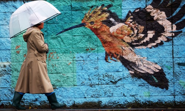 A pedestrian uses an umbrella to shield away rain drops as she walks along Tennyson Road on Monday, February. 16, 2026 in Hayward, Calif. Wet weather is forecast across the Bay Area over the next several days. (Aric Crabb/Bay Area News Group)