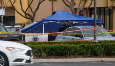 Shooting in shopping center lot treated as murder-suicide