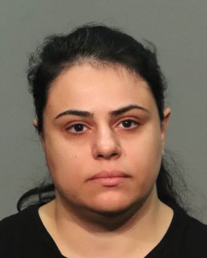 Nina Fathizadeh, 41, co-owner of an Almaden-area daycare where two children drowned in a pool, has been charged along with her mother Shahin Gheblehshenas, 64, with three counts of felony child endangerment. (San Jose Police Department)