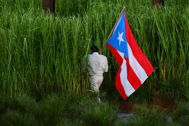 Bad Bunny disappears into the tall grass during the half-time show during Super Bowl 60 at Levi's Stadium in Santa Clara, Calif., on Sunday, Feb. 8, 2026. The Seattle Seahawks defeated the New England Patriots 29-13. (Jose Carlos Fajardo/Bay Area News Group)