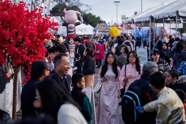 Community members attend the Tet Festival 2026 at Eastridge Center Friday, Feb. 20, 2026, in San Jose, Calif. The three-day festival includes live music and entertainment, lion dancers, a fashion show and carnival rides, as well as retail, food and drink vendors. (Dai Sugano/Bay Area News Group)