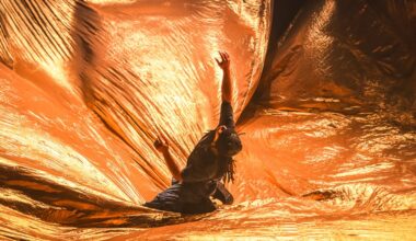 Compagnie Hervé Koubi and the Porosity of Dance