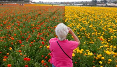 From Spring Chick Day to Thursday Club Rummage Sale   – San Diego Union-Tribune