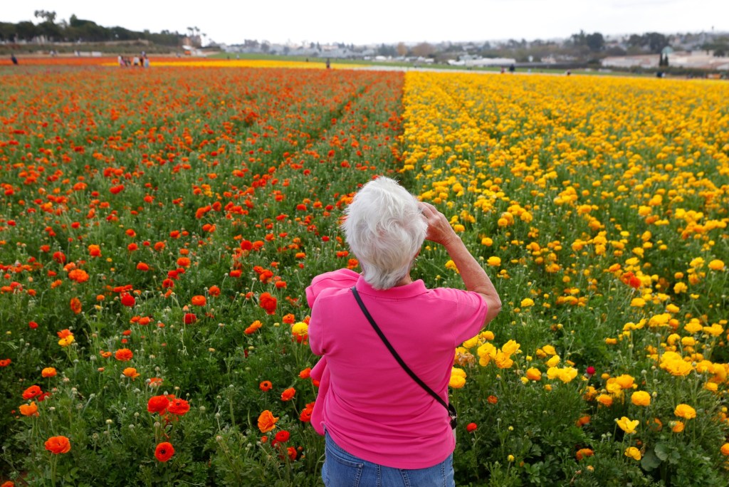 From Spring Chick Day to Thursday Club Rummage Sale   – San Diego Union-Tribune