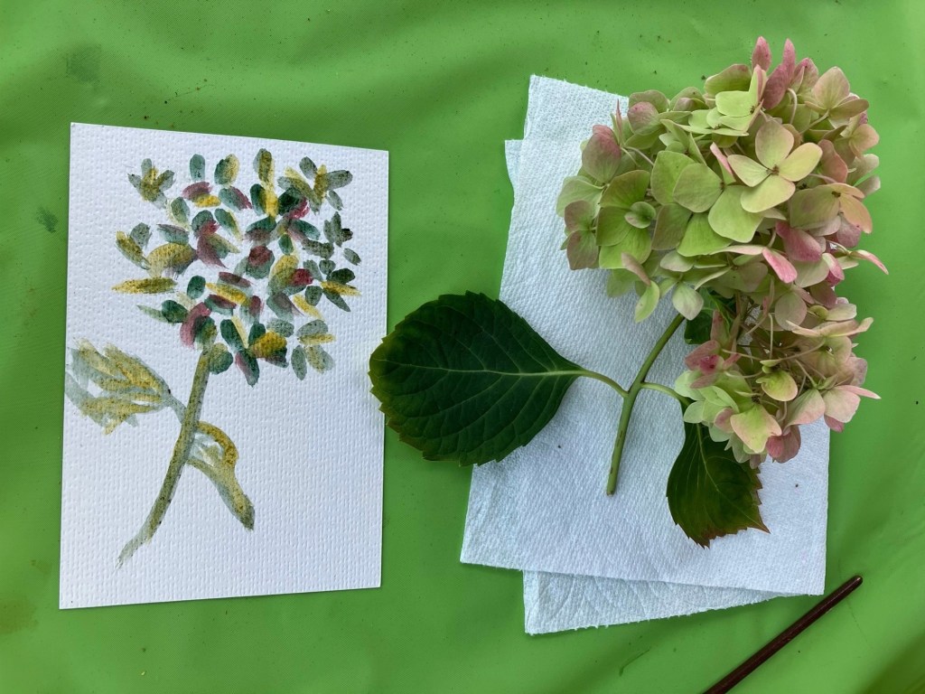 Hands-on projects help children soak up science – San Diego Union-Tribune