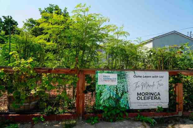 The Good Shepherd Community Resource Center in El Cajon in September. (Alejandro Tamayo / The San Diego Union-Tribune)