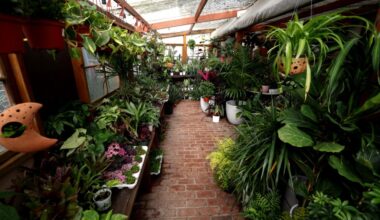 5 places to eat, drink and explore in and around Encinitas – San Diego Union-Tribune