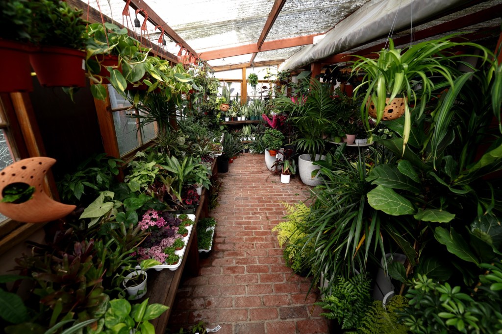 5 places to eat, drink and explore in and around Encinitas – San Diego Union-Tribune