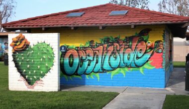 Strangers come to tourists’ rescue in Oceanside – San Diego Union-Tribune