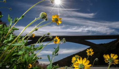 San Diego County slips into another period of unseasonably warm, dry winter weather – San Diego Union-Tribune