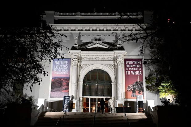 Visitors arrive for Nat at Night at the San Diego Natural History Museum Dec.19, 2025 in San Diego, Calif. (Photo by Denis Poroy)