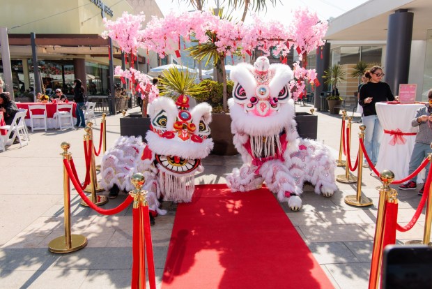 The Mission Valley mall's Lunar New Year Celebration features lion dances, calligraphy, live music and other activities. (Mission Valley)