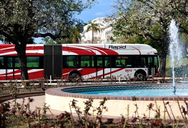 The Route 215 bus bound for San Diego State University travels on Park Boulevard between the Inez Grant Parker Memorial Rose Garden and San Diego Natural History Museum in Balboa Park on Feb. 5, 2026, in San Diego. (K.C. Alfred / The San Diego Union-Tribune)