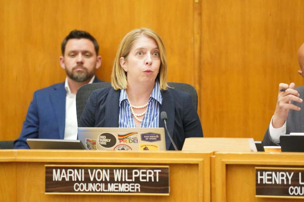 Von Wilpert should care as much about fiscal responsibility as ICE – San Diego Union-Tribune