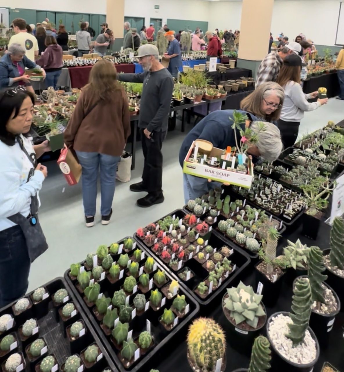 The San Diego Cactus & Succulent Society’s Winter 2026 Show...