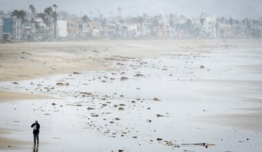 Man accused of gunning down stranger on Pacific Beach waterfront extradited to San Diego – San Diego Union-Tribune