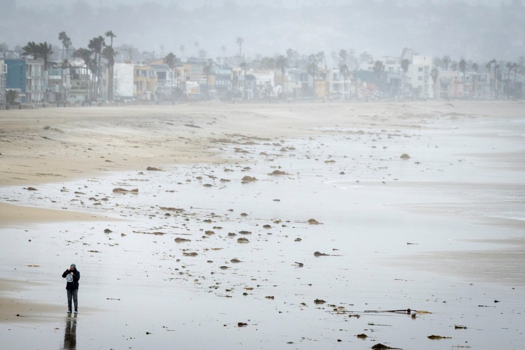 Man accused of gunning down stranger on Pacific Beach waterfront extradited to San Diego – San Diego Union-Tribune