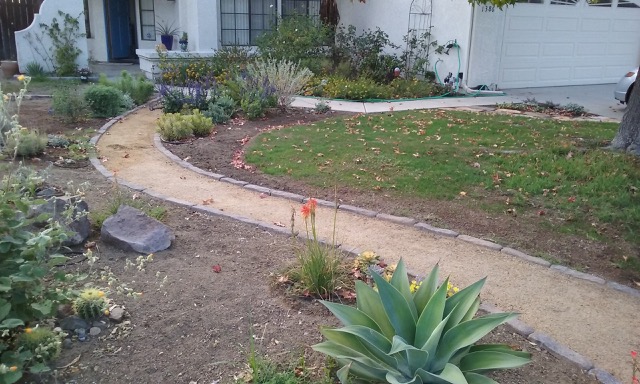 The front yard in transition. (Janet Chambers)