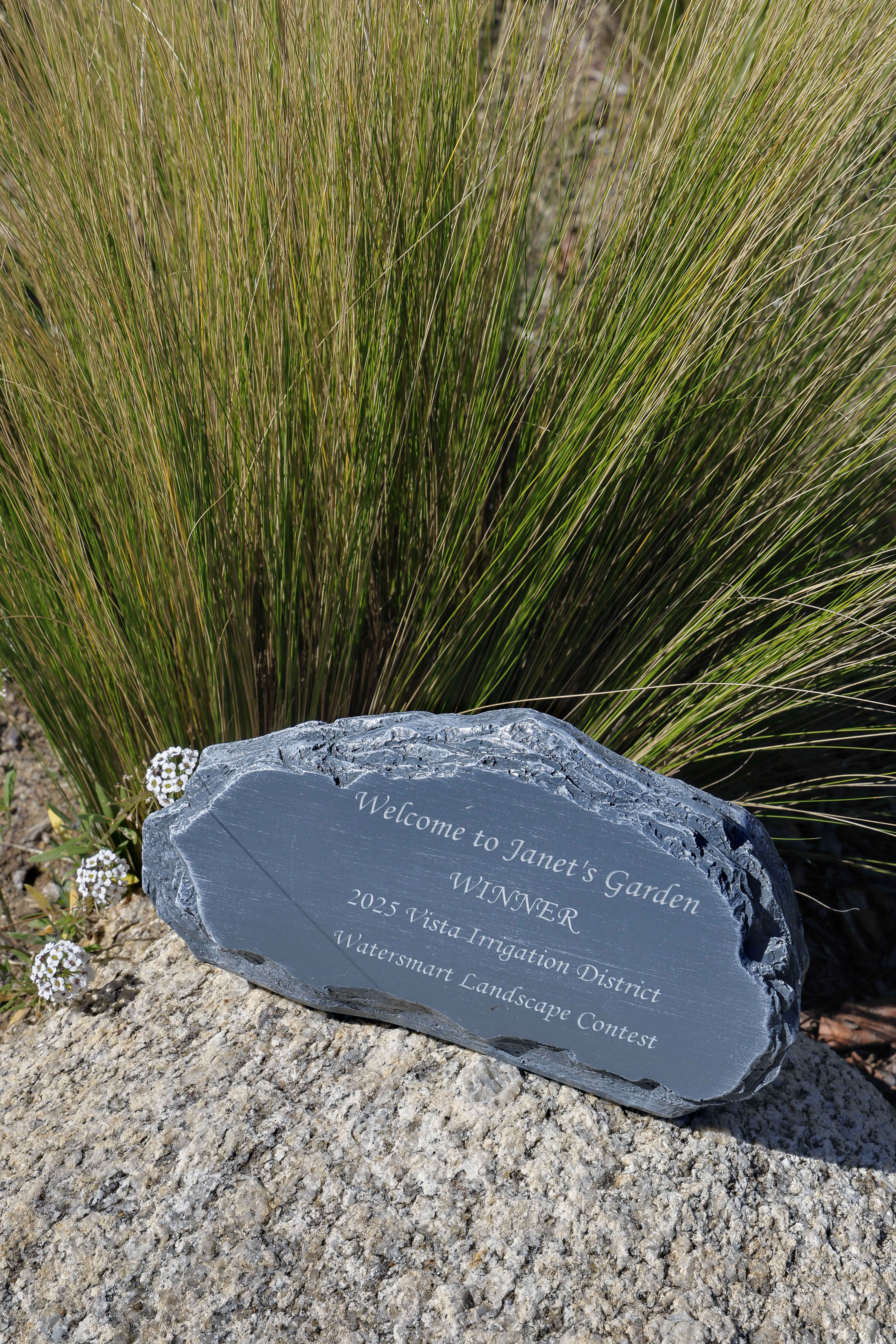 An award reflects Janet Chambers’ first place win in 2025...