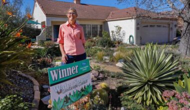 A plant playground in Vista – San Diego Union-Tribune