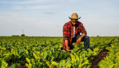 A talk about land, loss, and bouncing back – San Diego Union-Tribune