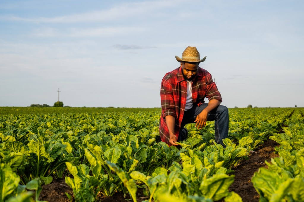 A talk about land, loss, and bouncing back – San Diego Union-Tribune