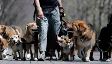 Why ordering takeout or calling the dog walker might lead to a happier relationship – San Diego Union-Tribune