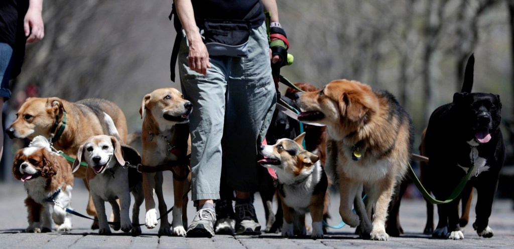 Why ordering takeout or calling the dog walker might lead to a happier relationship – San Diego Union-Tribune