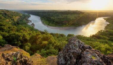 PRESS RELEASE: Governor Newsom launches most ambitious water plan in California history ~ MAVEN'S NOTEBOOK