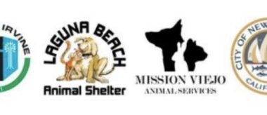 You Can’t Buy Love, but You Can Adopt It at an Orange County Animal Shelter