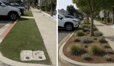 OP-ED: Clear policy is good policy: Why Long Beach should explicitly ban artificial turf in parkways