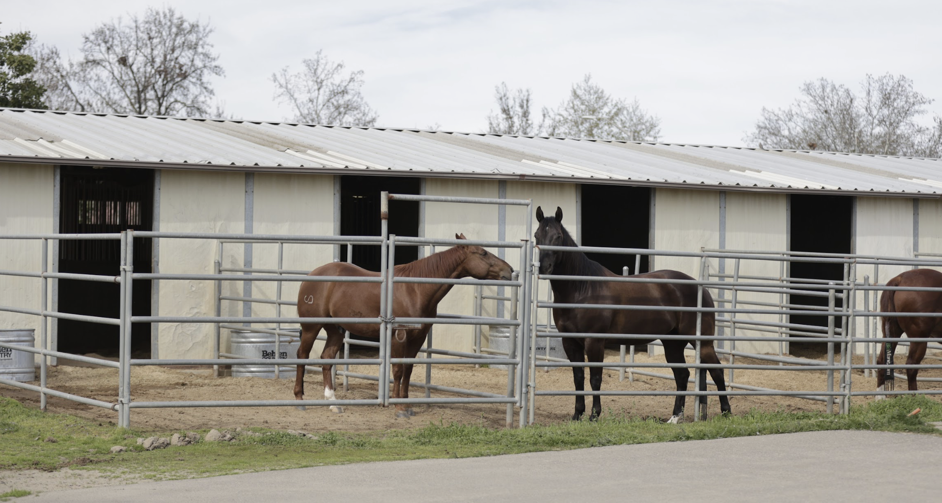 Bulldogs represent Fresno State at 59th annual World Ag Expo – The Collegian