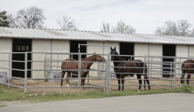 Bulldogs represent Fresno State at 59th annual World Ag Expo – The Collegian