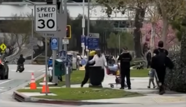 Video shows West Hollywood Security Ambassador throwing punches during park altercation