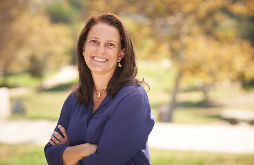 LA Councilmembers Seek Crackdown on Illegal Ads