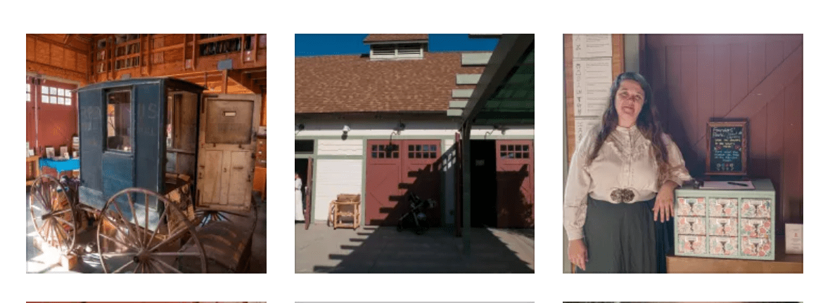 Video Observer: Seed Library Empowers Community with Free Seed Distribution