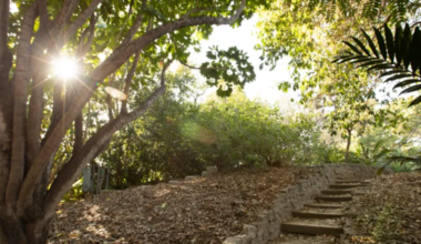 Cal State Fullerton’s Arboretum and Botanical Garden Receives $2.35 Million Gift