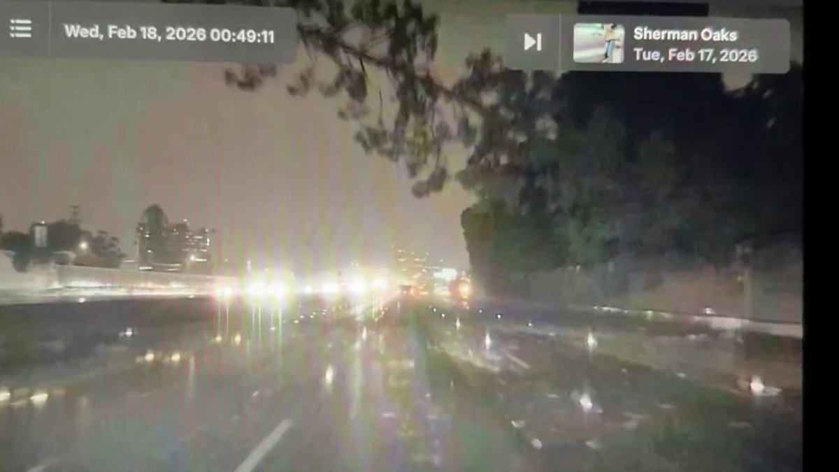 Fallen tree prompts temporary closure of southbound 405 Freeway – NBC Los Angeles