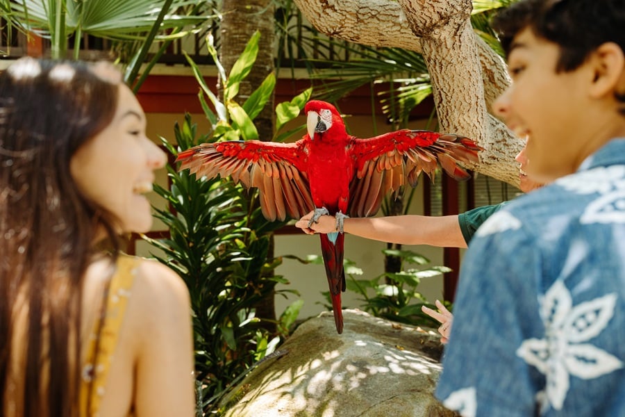 Spring Adventures at Evans Hotels 