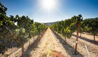 This Is the No. 1 Wine Region in the U.S.—and It's Not Napa