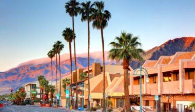 The Essential Guide to Palm Springs, California