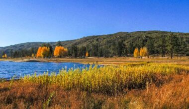 The Essential Guide to Idyllwild, California