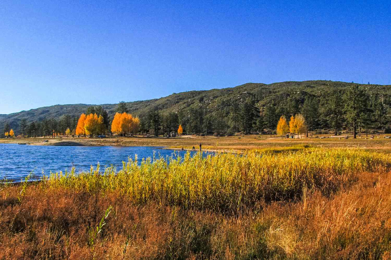 The Essential Guide to Idyllwild, California