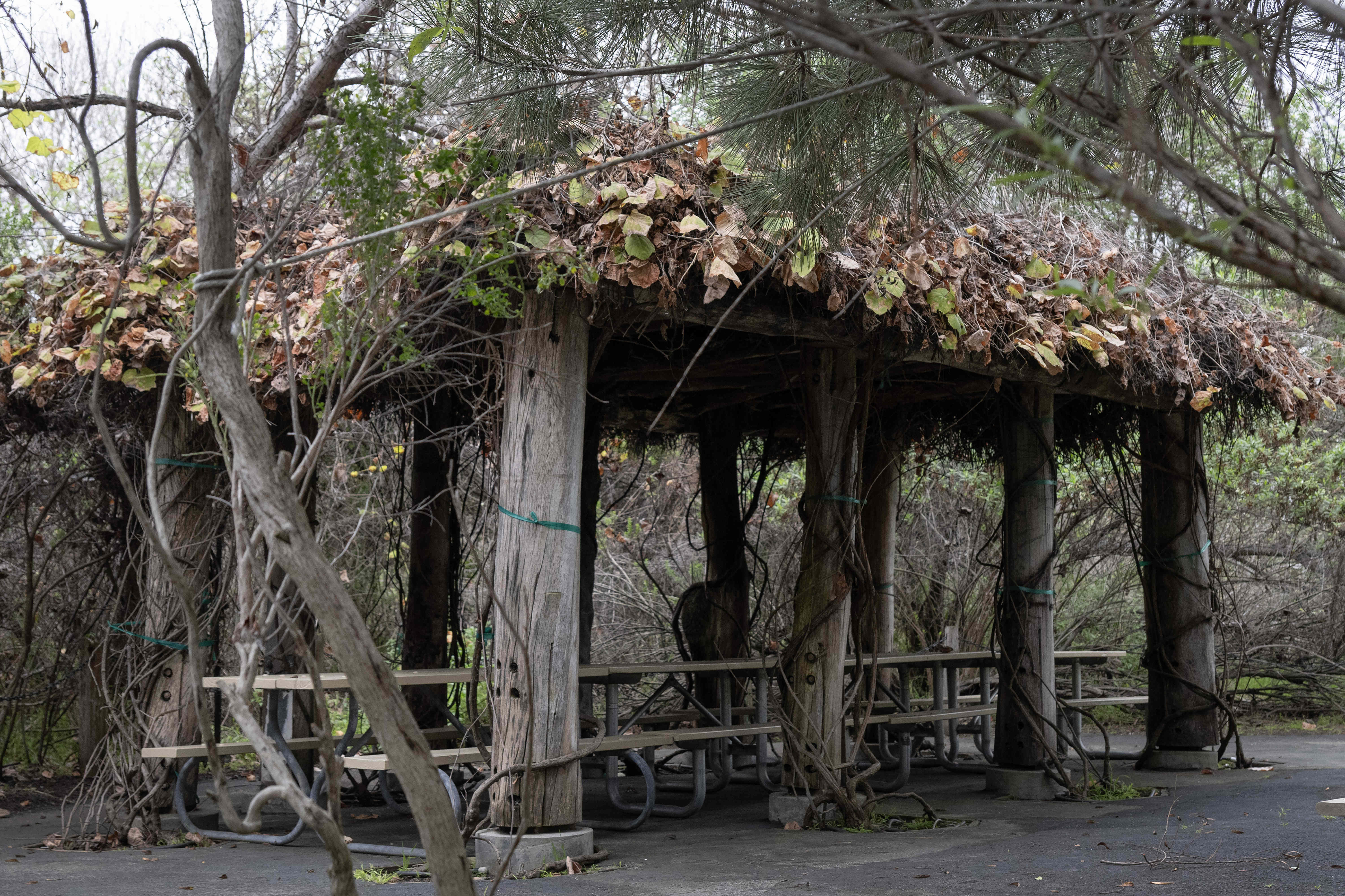 A rectangular pavilion used for educational events at the Bixby...