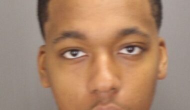 One of two suspects in Oakland University stabbing – The Oakland Press