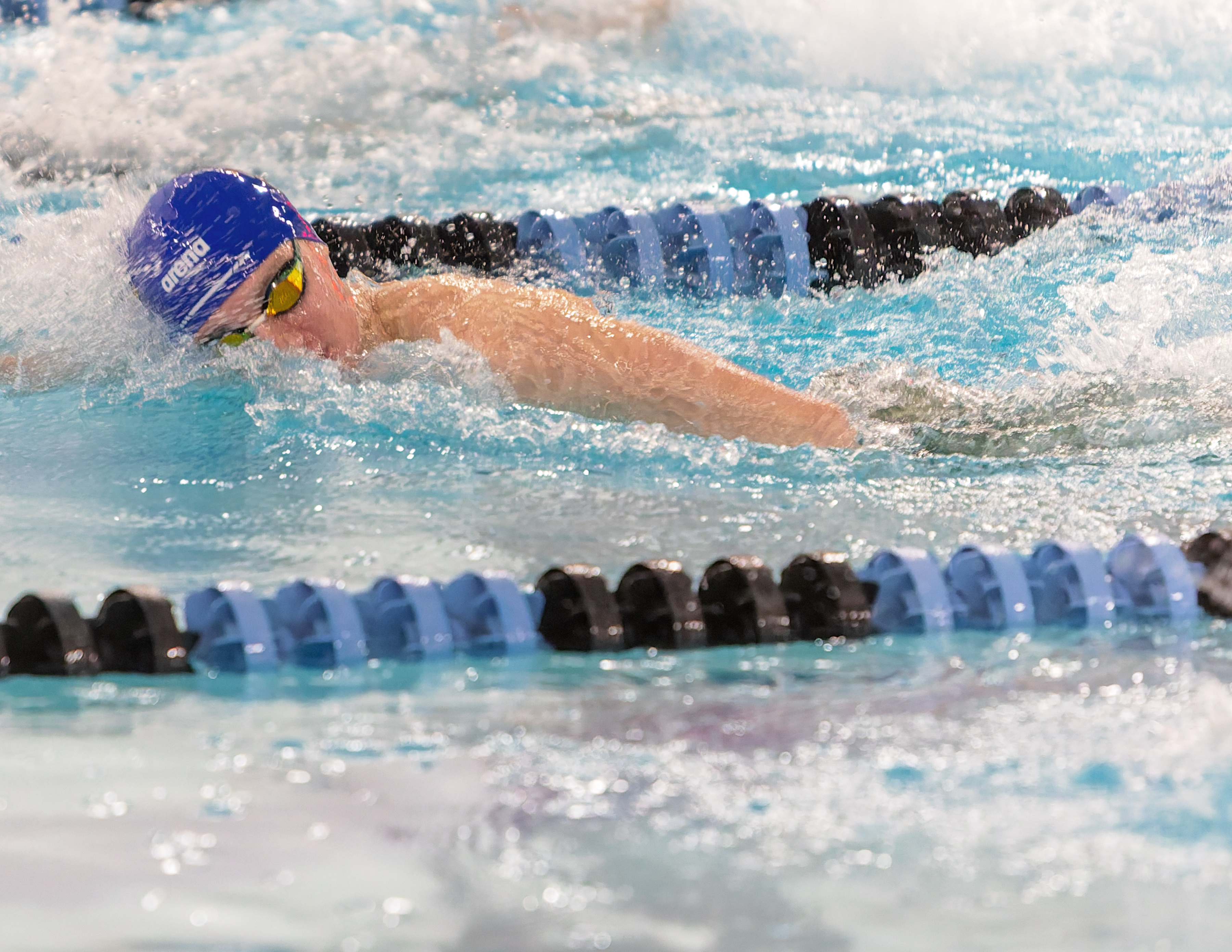Detroit Catholic Central's Bobbby Gusumano swims in the 500-yard freestyle...
