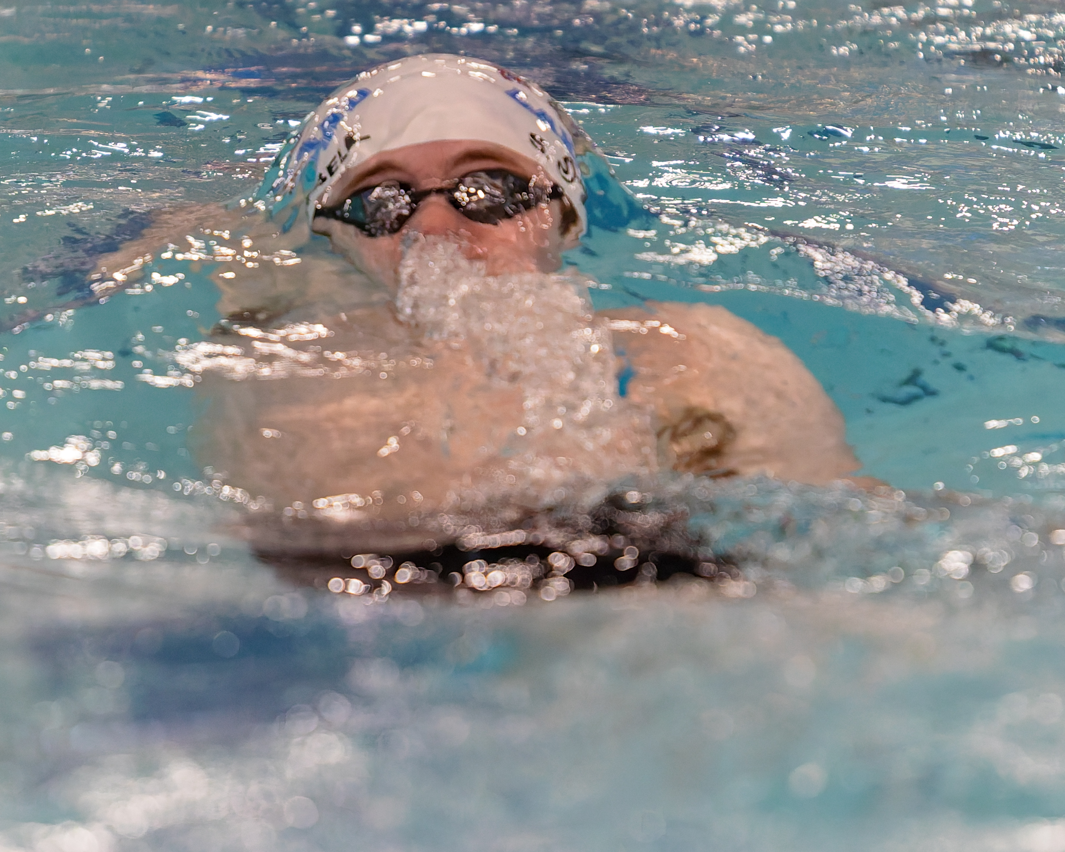 The Oakland County Boys Swim Championships were held Saturday, Feb....
