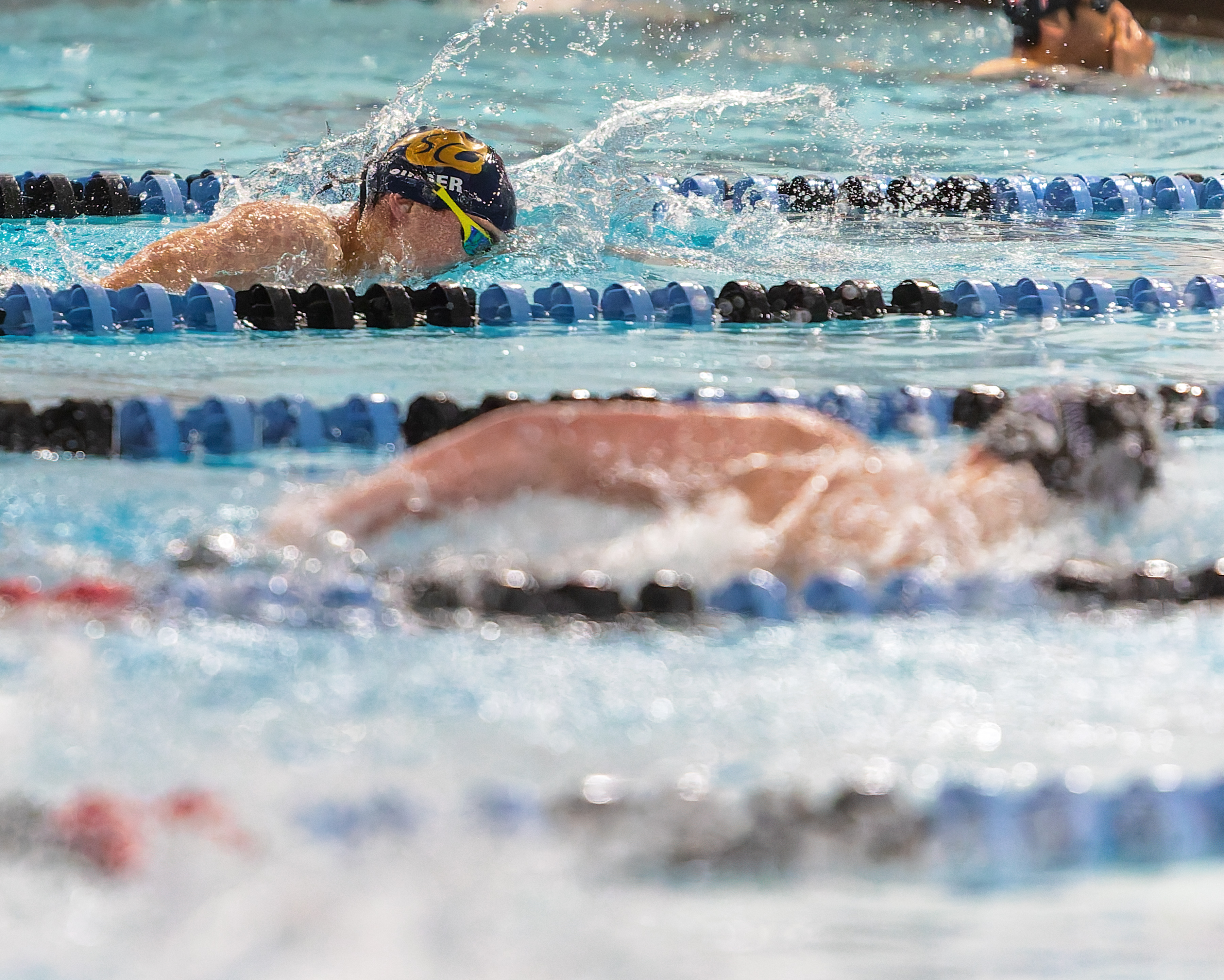 The Oakland County Boys Swim Championships were held Saturday, Feb....