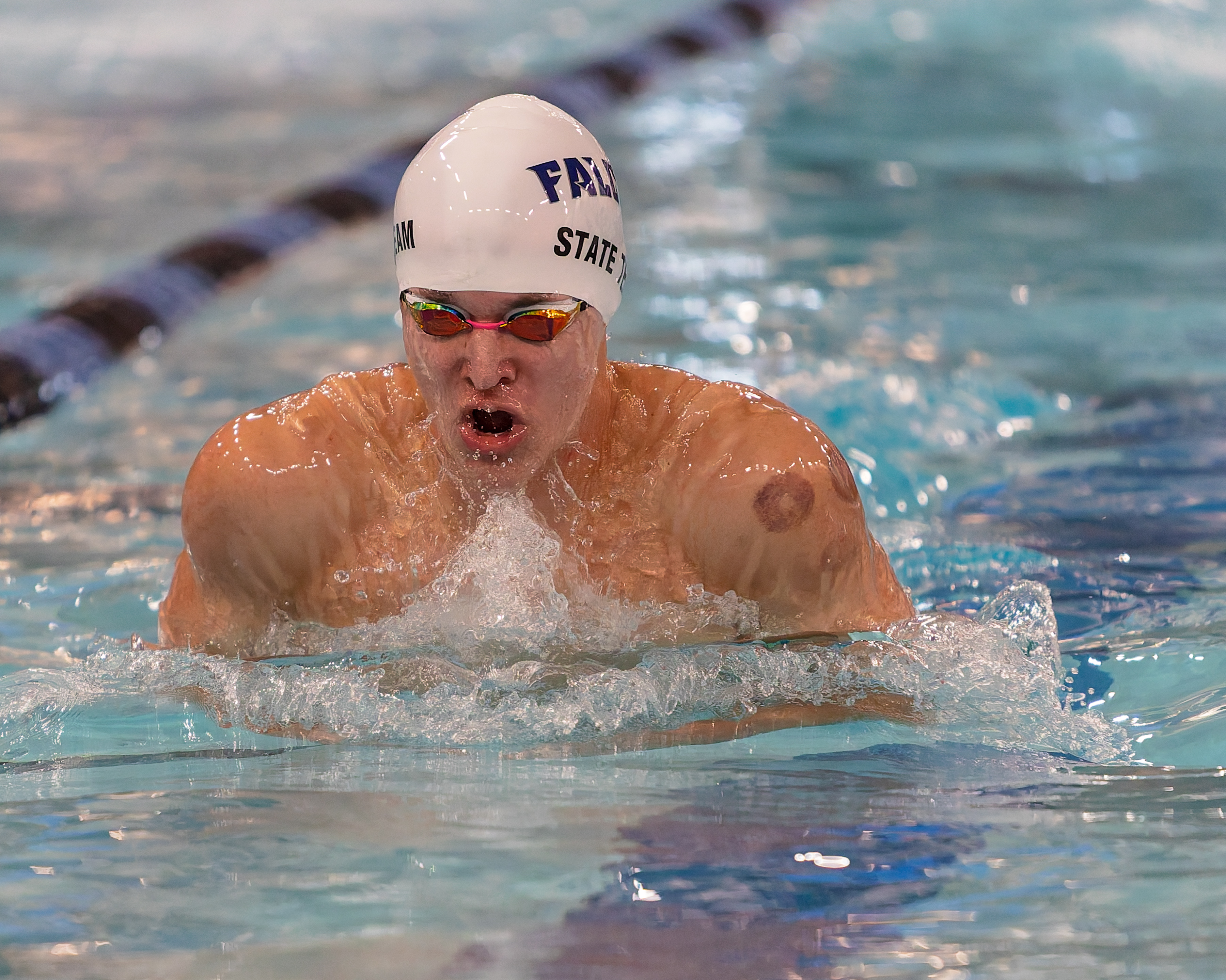 The Oakland County Boys Swim Championships were held Saturday, Feb....