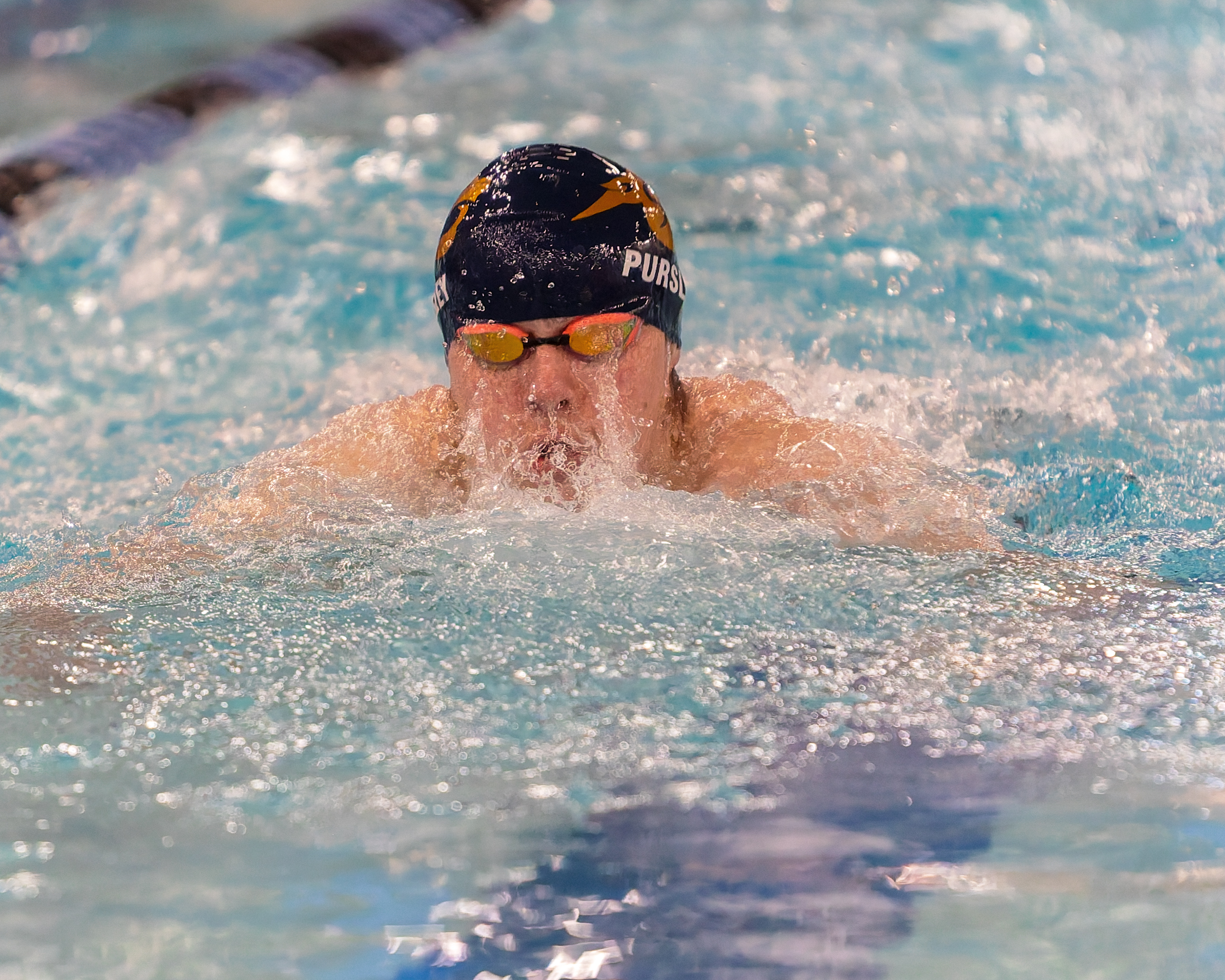 The Oakland County Boys Swim Championships were held Saturday, Feb....